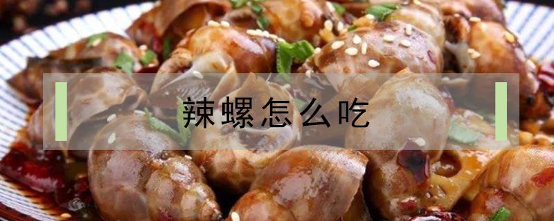 辣螺怎么吃 辣螺怎么吃里面的肉