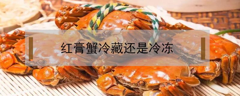 红膏蟹冷藏还是冷冻（红膏蟹糊冷冻还是冷藏）