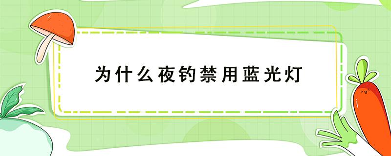 为什么夜钓禁用蓝光灯（夜钓蓝光灯有什么讲究）