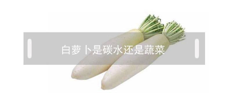 白萝卜是碳水还是蔬菜 白萝卜属于蔬菜还是碳水