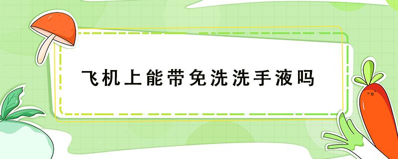 飞机上能带免洗洗手液吗 飞机可以带免洗洗手液吗?