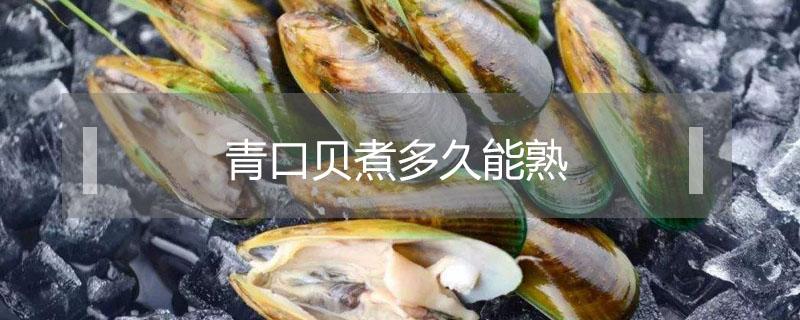 青口贝煮多久能熟 青口贝要煮多久能熟