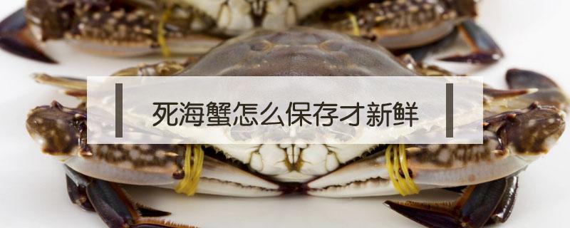 死海蟹怎么保存才新鲜（海蟹如何保存48小时鲜活）