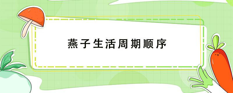 燕子生活周期顺序（说一说燕子的生活周期顺序是怎样的）