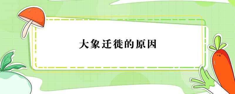 大象迁徙的原因 2021云南大象迁徙的原因