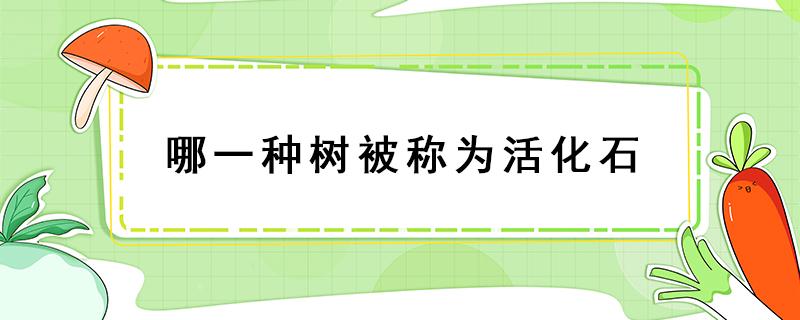 哪一种树被称为活化石（哪种树被称为活化石）