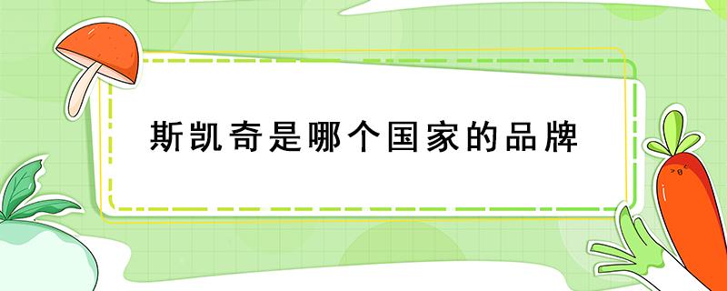 斯凯奇是哪个国家的品牌 斯凯奇是哪个国家的品牌?制造商在哪里?