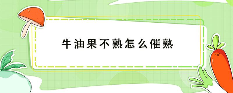 牛油果不熟怎么催熟 未成熟的牛油果怎么催熟