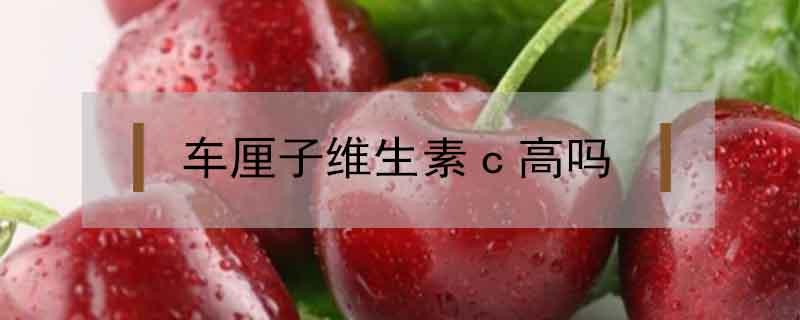 车厘子维生素c高吗 车厘子补充维生素c吗