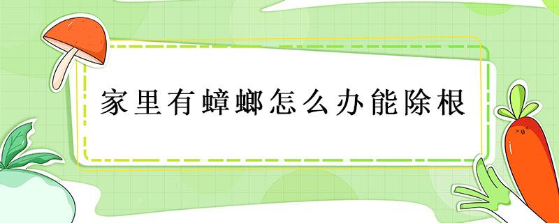 家里有蟑螂怎么办能除根 学佛人家里有蟑螂怎么办能除根