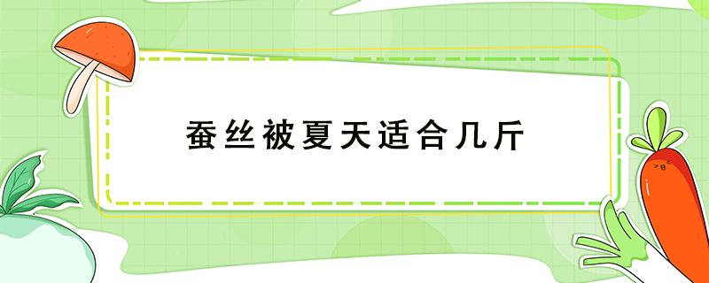 蚕丝被夏天适合几斤 夏凉被几斤的蚕丝被合适