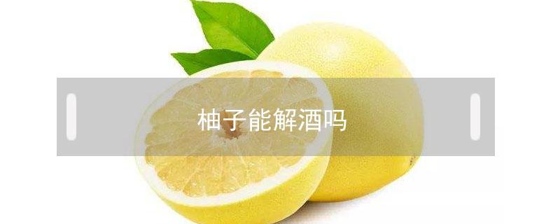 柚子能解酒吗 柚子能解酒嘛