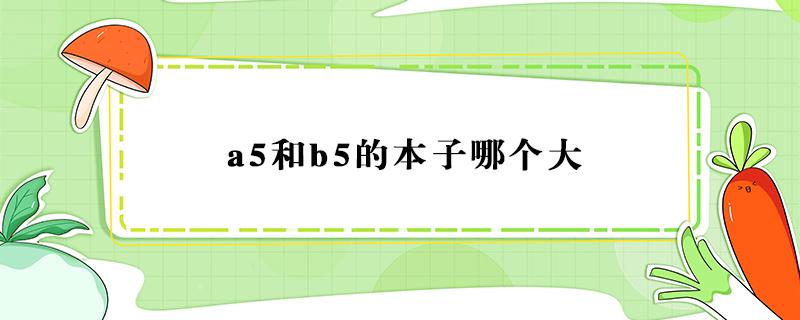 a5和b5的本子哪个大 a4和b5的本子哪个大