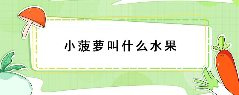 小菠萝叫什么水果 小小的菠萝叫什么水果