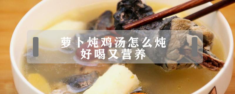 萝卜炖鸡汤怎么炖好喝又营养（萝卜炖鸡汤怎么炖好吃又好喝）