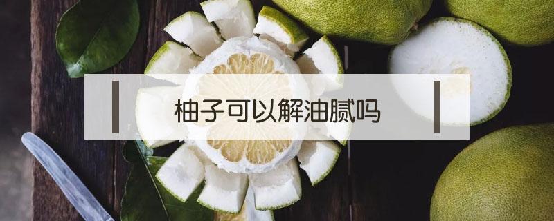 柚子可以解油腻吗 柚子去油脂吗