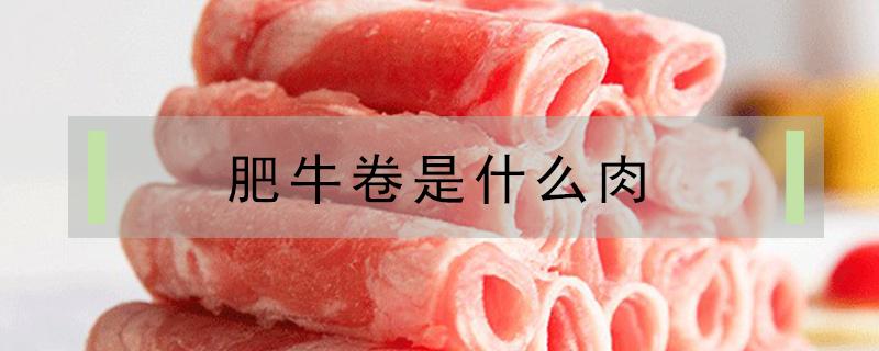 肥牛卷是什么肉（肥牛卷是什么肉做的）