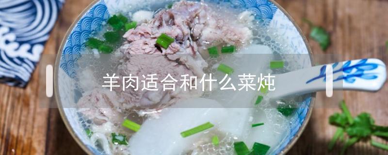 羊肉适合和什么菜炖（炖羊肉和什么菜搭配好）