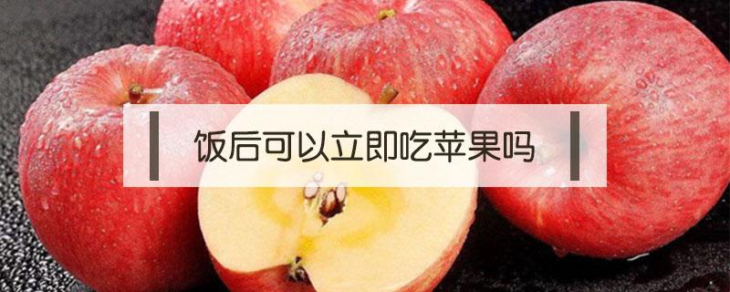 饭后可以立即吃苹果吗 饭后立刻吃苹果可以吗