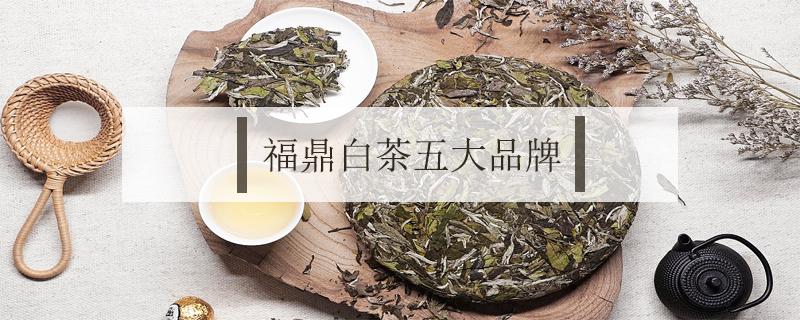 福鼎白茶五大品牌（福鼎白茶五大品牌高档）