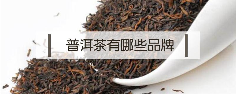 普洱茶有哪些品牌 名牌普洱茶有哪些品牌