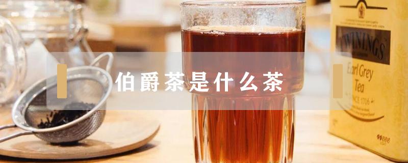 伯爵茶是什么茶