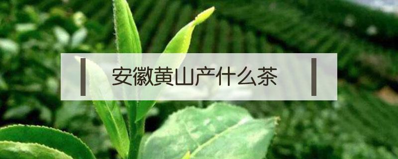 安徽黄山产什么茶 安徽黄山最有名的茶是什么茶