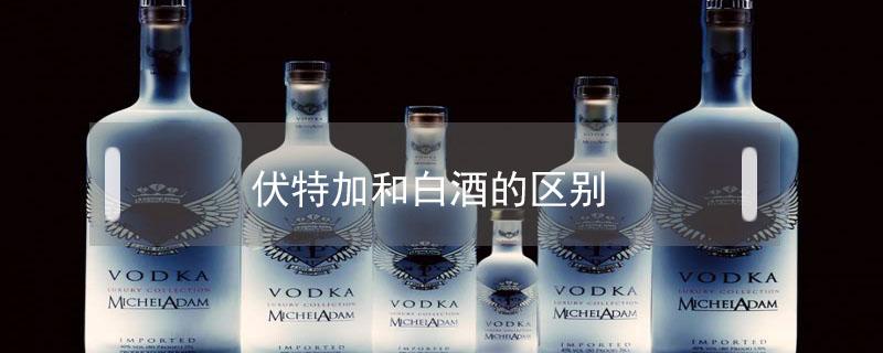 伏特加和白酒的区别（白酒与伏特加有何区别）