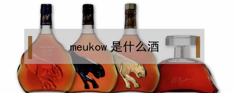 meukow是什么酒（meukow是什么酒cognac什么价格）