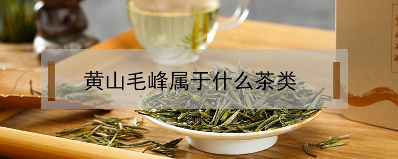 黄山毛峰属于什么茶类（黄山毛峰属于什么茶类哪个季节饮用）