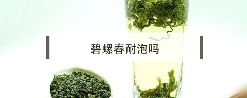 碧螺春耐泡吗（碧螺春不耐泡）