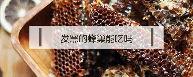 发黑的蜂巢能吃吗（蜂巢蜜蜂巢黑色能吃么）