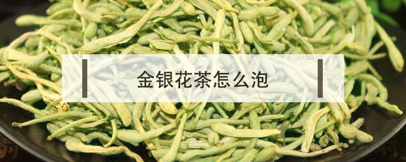 金银花茶怎么泡 金银花茶怎么泡水喝