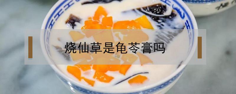 烧仙草是龟苓膏吗 烧仙草不是龟苓膏