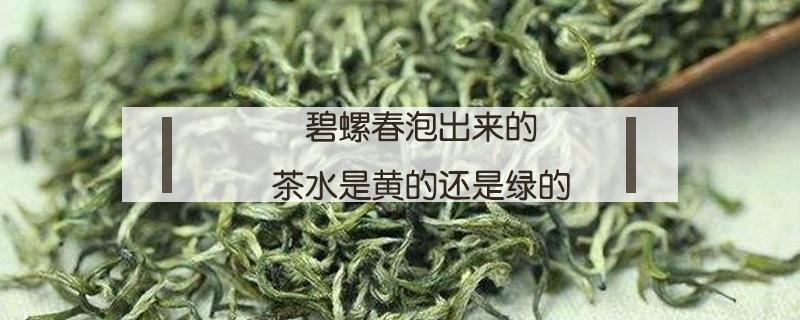 碧螺春泡出来的茶水是黄的还是绿的（碧螺春泡出来的茶水是黄的还是绿的）