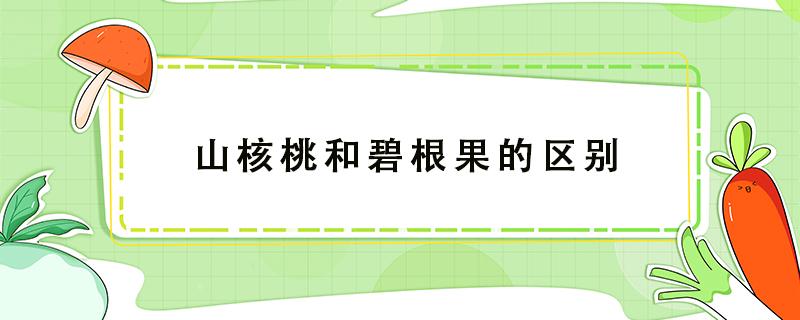 山核桃和碧根果的区别