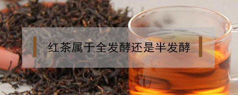 红茶属于全发酵还是半发酵（红茶属于完全发酵还是半发酵）