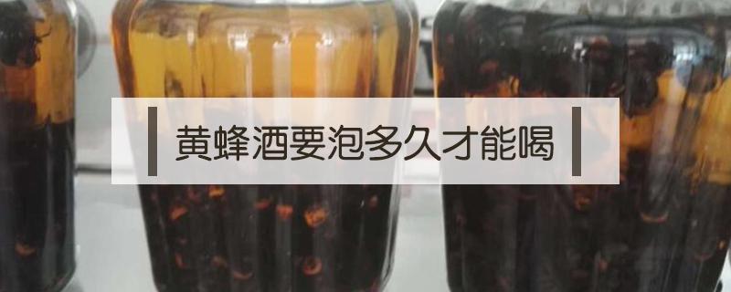 黄蜂酒要泡多久才能喝（黄蜂泡酒多久可以喝）