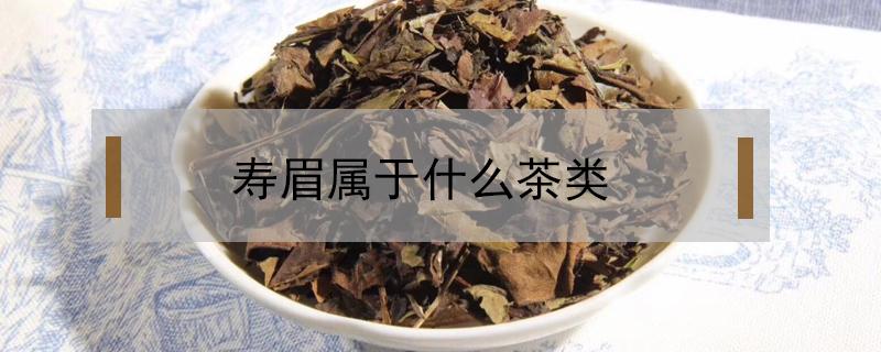 寿眉属于什么茶类 寿眉是属于什么茶类