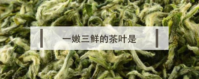 一嫩三鲜的茶叶是（一嫩三鲜美誉的茶叶指的是）