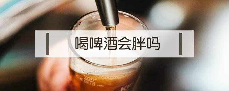 喝啤酒会胖吗 喝白酒会胖吗