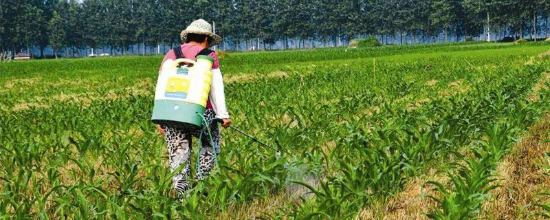 除草剂种类有哪几种？怎么分类