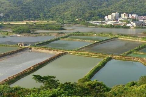 在农村建鱼塘要多少钱