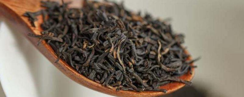 祁门红茶是发酵茶吗，产地在哪里（祁门红茶属于什么发酵）