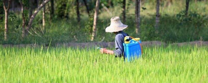 氟氯氰菊酯对人的危害，附使用说明（氟氯氰菊酯的使用方法）