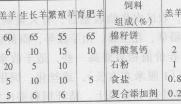 草饲料饲喂绵羊的方法 羊用饲料饲草大全