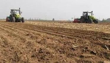 小麦保护性耕作操作要点 小麦高产栽培技术及田间管理措施