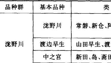 牛蒡的主要品种和栽培类型牛蒡 牛蒡有几种品种