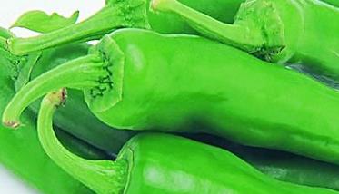 青椒的营养价值及功效 青椒的营养价值及功效与作用对孩子