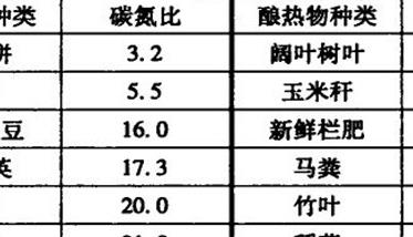 竹林提早出竹笋促成栽培要点（竹笋怎样种植与管理）